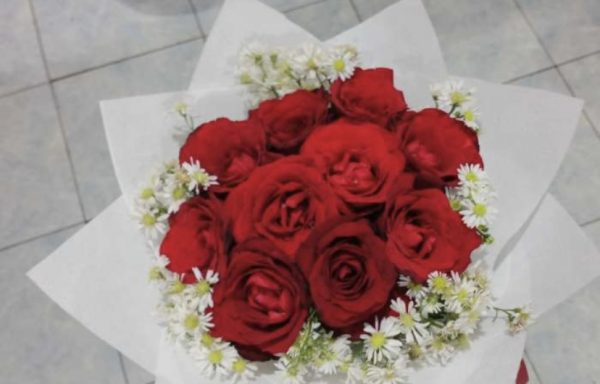 Bunga mawar merah
